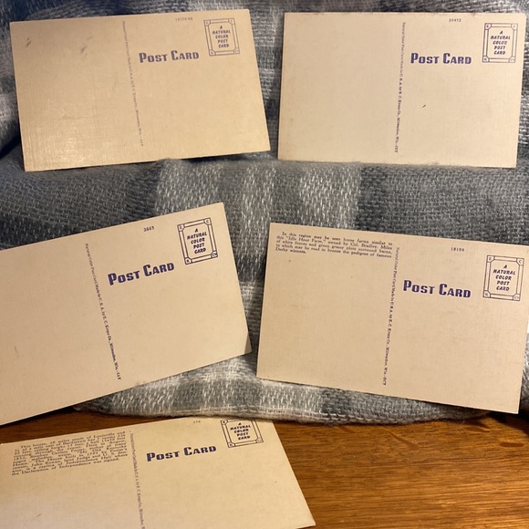 VINTAGE KENTUCKY POST CARDS - Picture 7 of 7